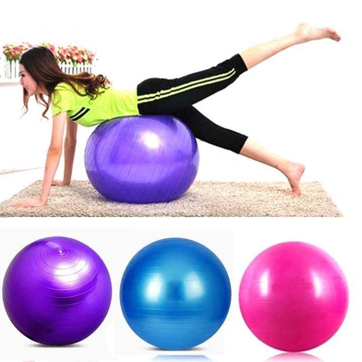 Gym Ball Fitness Exercise Stevility  