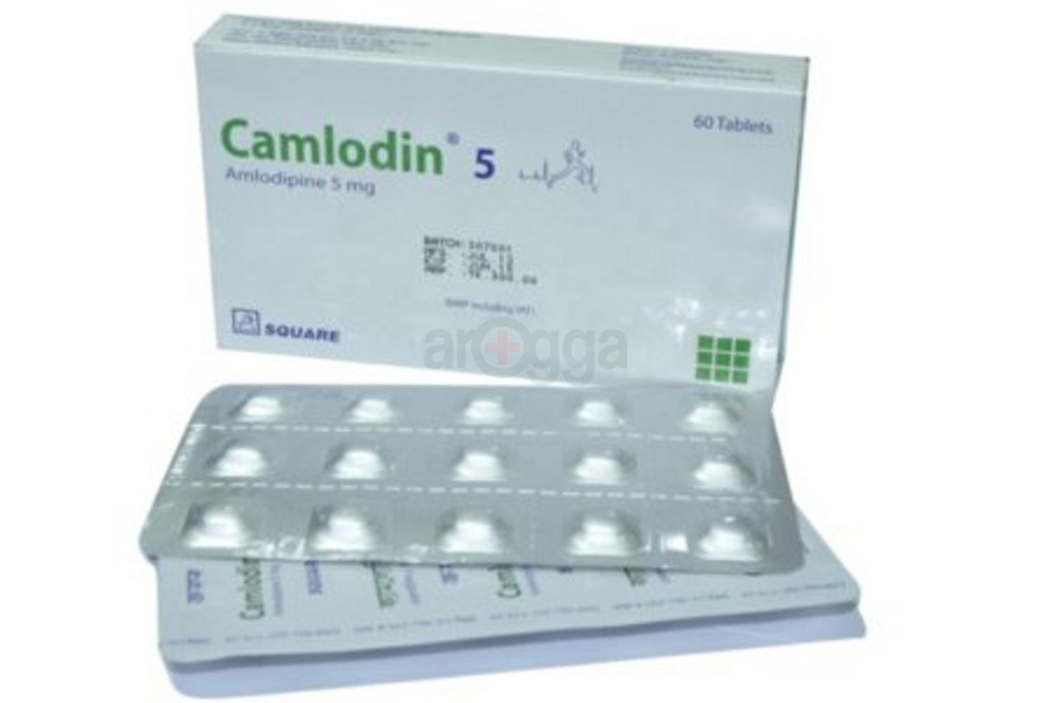 Camlodin 5
