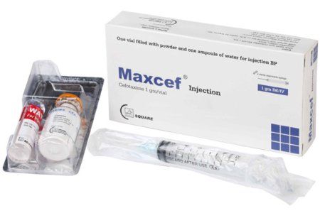 Maxcef IV/IM 1gm/vial Injection