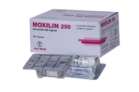 Moxilin 250mg/vial Injection