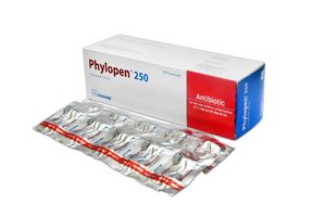 Phylopen 250