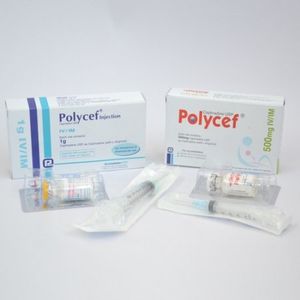 Polycef IV/IM 1gm/vial Injection