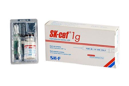 Sk Cef IV/IM 1gm/vial Injection