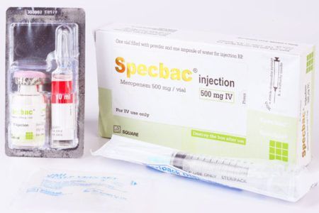 Specbac 500mg/vial Injection