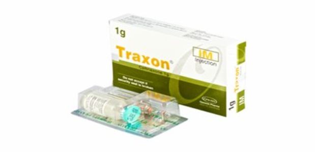 Traxon IM 1gm/vial Injection