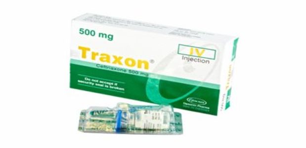 Traxon IV 500mg/vial Injection
