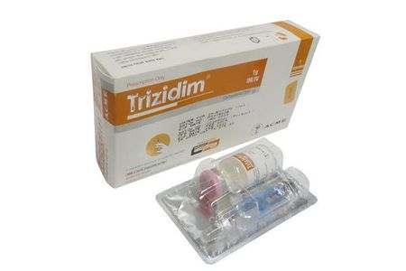 Trizidim IV/IM 1gm/vial Injection