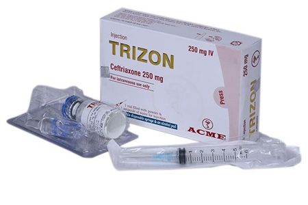Trizon IV 250mg/vial Injection