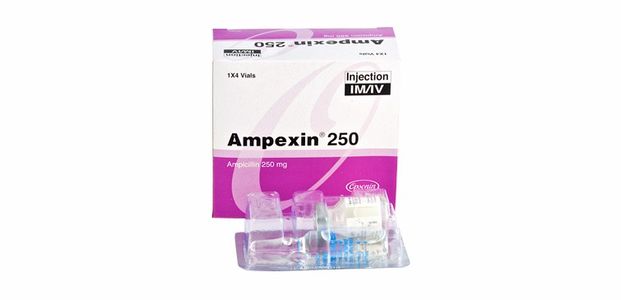 Ampexin IV/IM 250mg/vial Injection