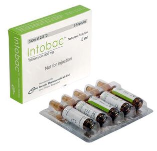 Intobac 300mg/5ml Respirator Solution