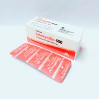 Amoxycillin 500mg Capsule