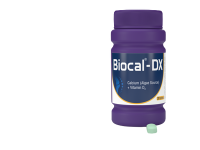 Biocal DX 600mg+400IU Tablet