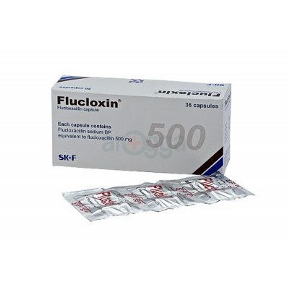 Flucloxin 500